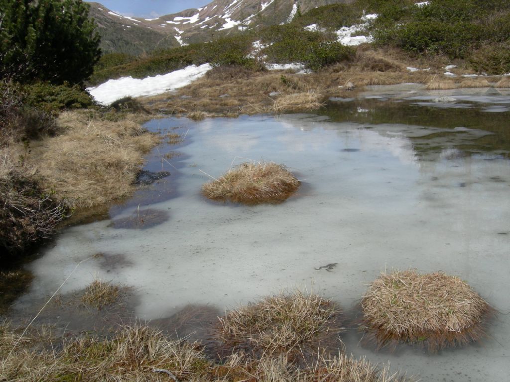 Laghi.......del TRENTINO
